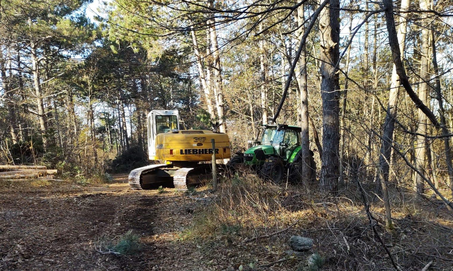 Monfalcone, tagliati alberi e piante infestanti sul Carso: liberati 150mila metri quadri